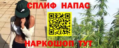 эйфоретик Заволжье