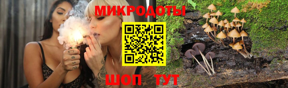 Псилоцибиновые грибы Magic Shrooms  Галлюциногенные грибы Magic Shrooms  Шуя  Вход с VPN 