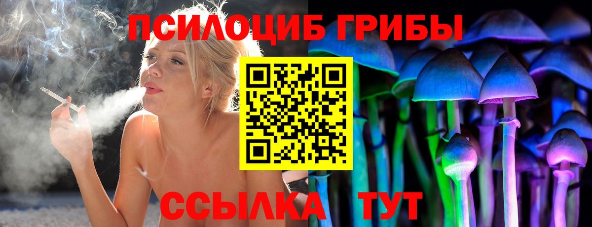 Псилоцибиновые грибы прущие грибы Шуя
